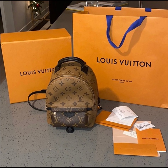 Louis Vuitton Palm Springs Mini Backpack - Picture 2 of 12